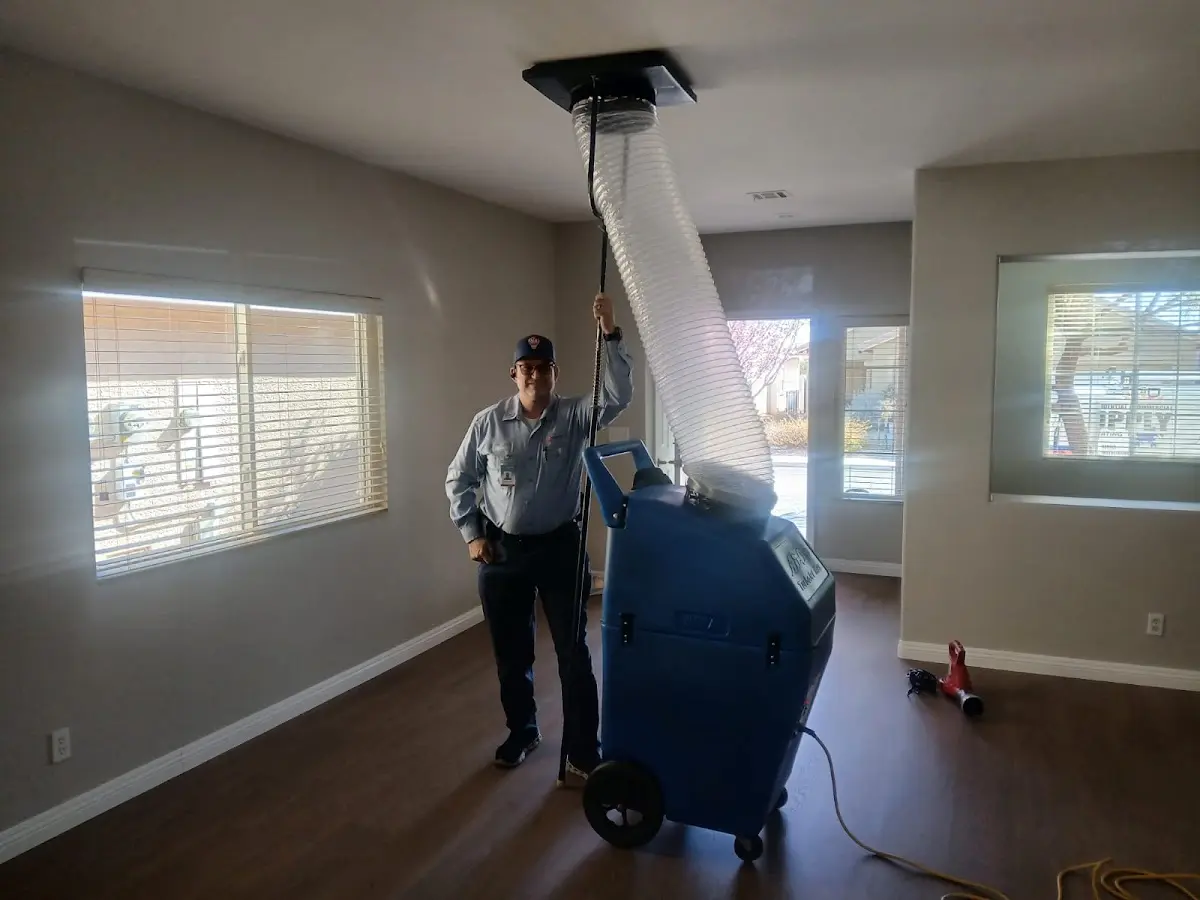 Professional Dryer Vent Cleaning work inside a Olympia Heights home